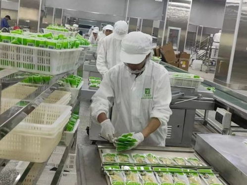 云南永善七彩食品投產(chǎn)運(yùn)營獲《中國食品安全報(bào)》關(guān)注 食品安全與特色經(jīng)營的雙贏之路